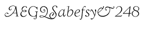 Serif fonts T-Y: WTC Goudy Swash Light Italic