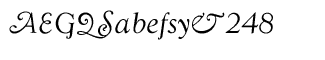 Serif fonts T-Y: WTC Goudy Swash Regular Italic