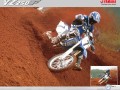 Motorcycle wallpapers: Yamaha wallpaper