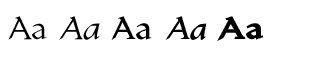 Serif fonts T-Y: Yngreena Volume