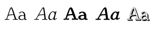 Serif fonts T-Y: Youbee Volume